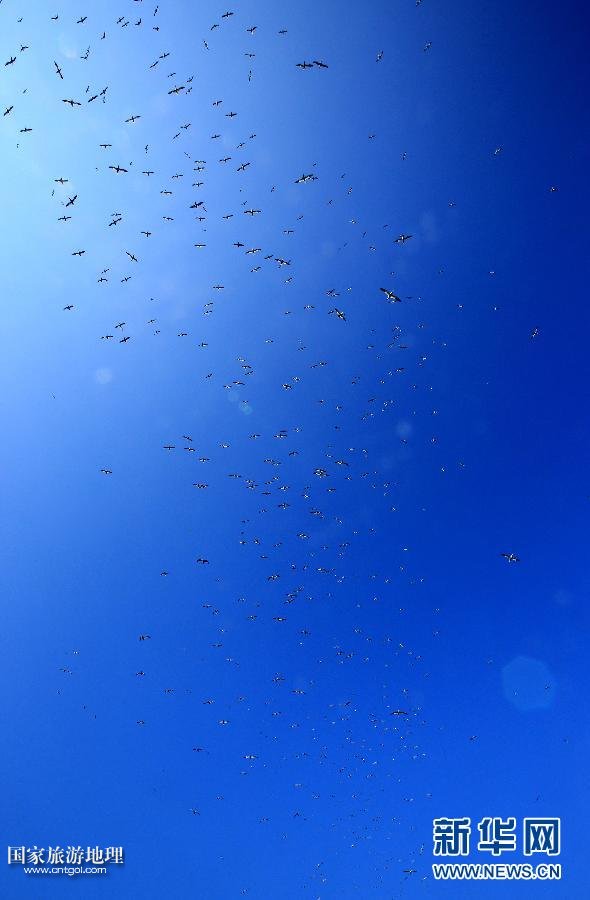 （國際·關(guān)注文化遺產(chǎn)）（11）聖基爾達島：被遺棄的文明